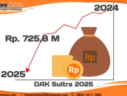 Efisiensi Anggaran, DAK Se-Sultra 2025 Berkurang Sebesar Rp 725,8 Miliar. Berikut rinciannya!