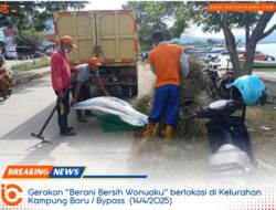 Bombana Kinclong! Gerakan ‘Berani Bersih Wonuaku’ Ubah Wajah Kota Jadi Lebih Asri | beraninews.com 16 Bombana Kinclong! Gerakan ‘Berani Bersih Wonuaku’ Ubah Wajah Kota Jadi Lebih Asri | beraninews.com