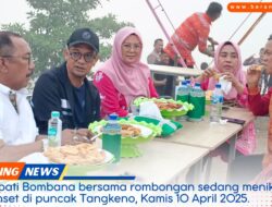 Tangkeno Meredup, Bupati Bombana:"Kami Akan Bangkitkan Lagi!" | beraninews.com 29 Tangkeno Meredup, Bupati Bombana:”Kami Akan Bangkitkan Lagi!” | beraninews.com