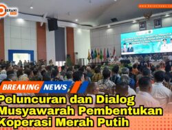 Koperasi Merah Putih Diluncurkan, Burhanuddin: Senjata Baru Bangkitkan Ekonomi Desa! 29 Koperasi Merah Putih Diluncurkan, Burhanuddin: Senjata Baru Bangkitkan Ekonomi Desa!