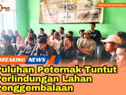 Puluhan Peternak Tuntut Perlindungan Lahan Penggembalaan: "Jangan Biarkan Padang Rumput Kami Hilang!" 26 Puluhan Peternak Tuntut Perlindungan Lahan Penggembalaan: “Jangan Biarkan Padang Rumput Kami Hilang!”