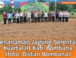 Dinas Pertanian Bersama Polres Bombana Pacu Swasembada Lewat Aksi Tanam Jagung 8 Dinas Pertanian Bersama Polres Bombana Pacu Swasembada Lewat Aksi Tanam Jagung
