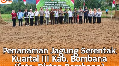 Dinas Pertanian Bersama Polres Bombana Pacu Swasembada Lewat Aksi Tanam Jagung