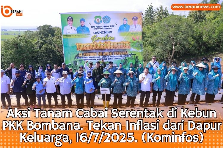 Aksi Hebat PKK Bombana! Tanam Cabai Serentak Tekan Inflasi dari Dapur Keluarga 5 PKK Bombana