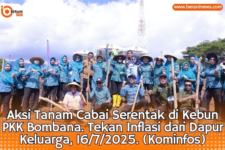 Aksi Hebat PKK Bombana! Tanam Cabai Serentak Tekan Inflasi dari Dapur Keluarga 4 PKK Bombana