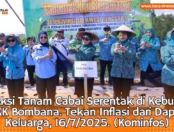 Aksi Hebat PKK Bombana! Tanam Cabai Serentak Tekan Inflasi dari Dapur Keluarga 23 Aksi Hebat PKK Bombana! Tanam Cabai Serentak Tekan Inflasi dari Dapur Keluarga