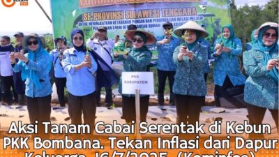 Aksi Hebat PKK Bombana! Tanam Cabai Serentak Tekan Inflasi dari Dapur Keluarga