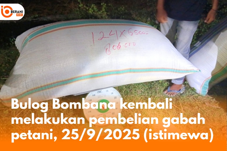 bulog bombana 
