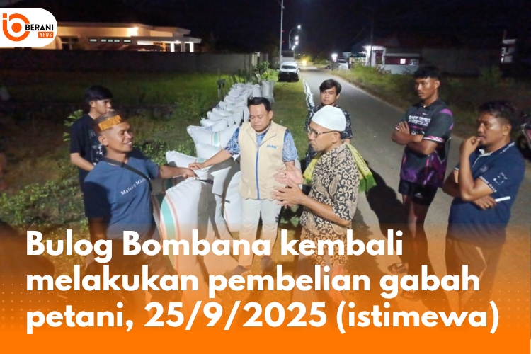bulog bombana