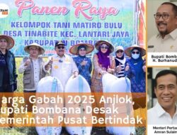 Harga Gabah Turun, Bupati Bombana Desak Pemerintah Pusat Bertindak 4 Harga Gabah Turun, Bupati Bombana Desak Pemerintah Pusat Bertindak