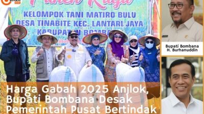 Harga Gabah Turun, Bupati Bombana Desak Pemerintah Pusat Bertindak