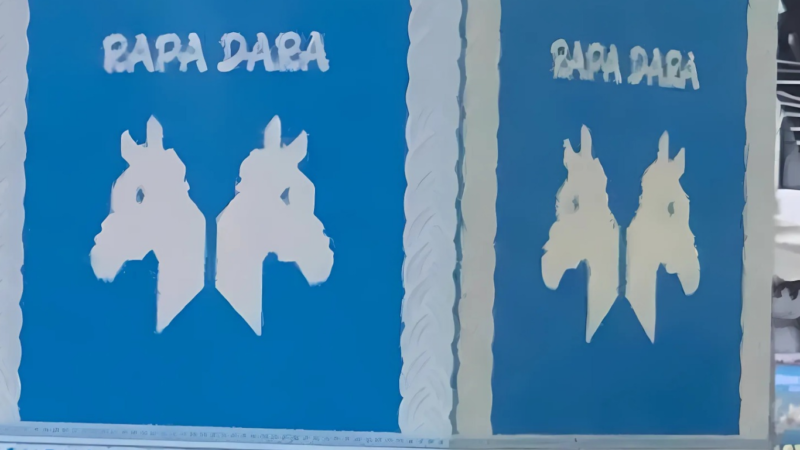 Rapa dara
