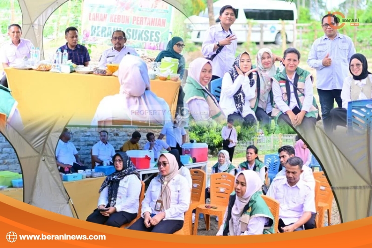 Panen Tomat Distan Bombana Dorong Ketahanan Pangan dan Tekan Inflasi Daerah 3 Panen Tomat Bombana