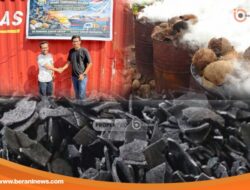 Arang Tempurung Kelapa Bombana Tembus Ekspor Cina