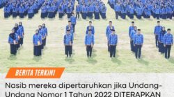 PPPK Terancam PHK Massal, Ini Penyebab Utamanya