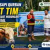 15 Sapi Qurban PT TIM Perkuat Hubungan Sosial Masyarakat Lingkar Tambang di Kabaena