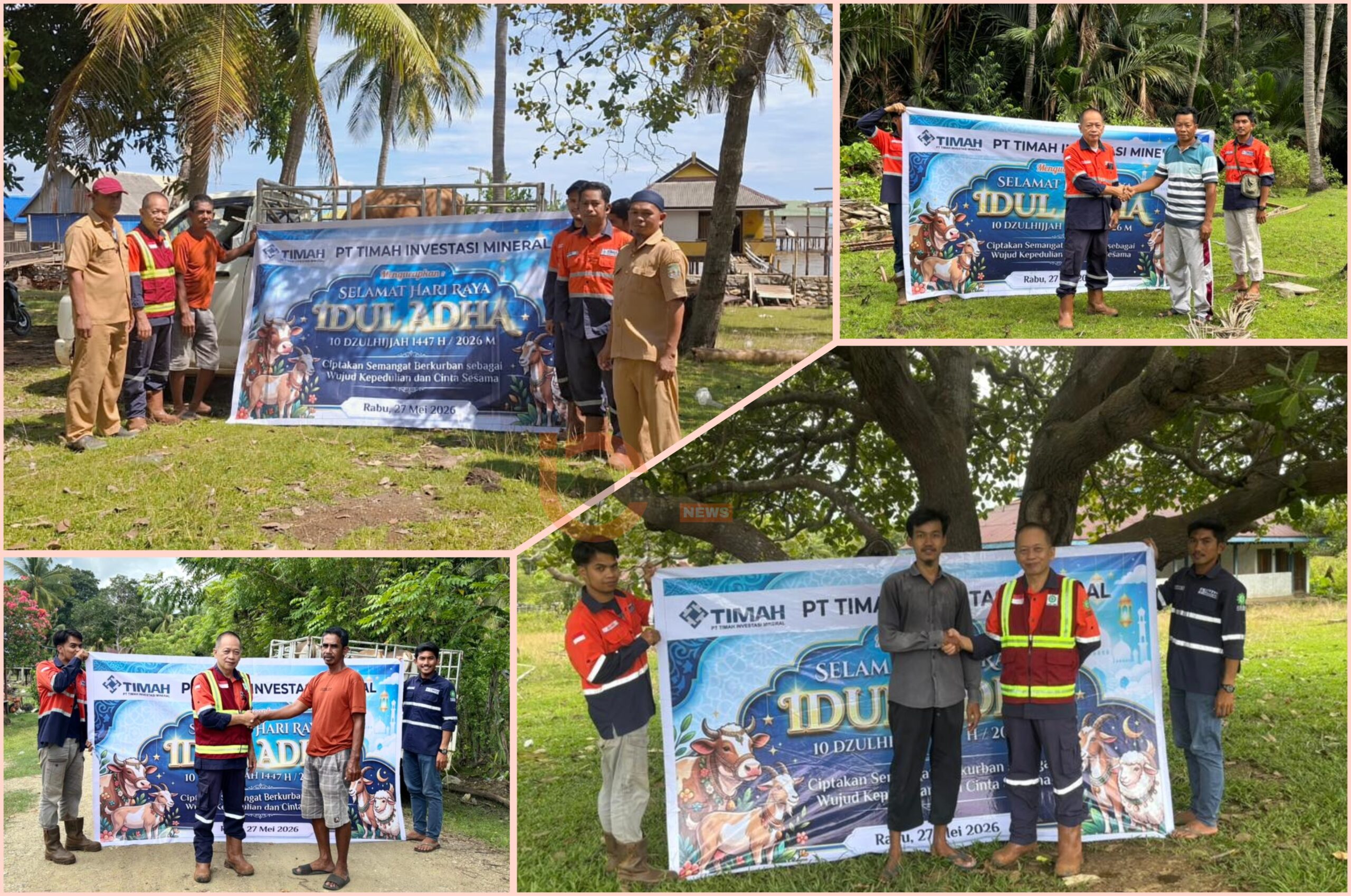 15 Sapi Qurban PT TIM Perkuat Hubungan Sosial Masyarakat Lingkar Tambang di Kabaena 4 PT TIM, PT Timah Investasi Mineral, Kabaena, sapi qurban,