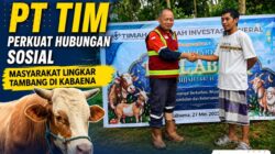 15 Sapi Qurban PT TIM Perkuat Hubungan Sosial Masyarakat Lingkar Tambang di Kabaena