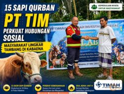 15 Sapi Qurban PT TIM Perkuat Hubungan Sosial Masyarakat Lingkar Tambang di Kabaena