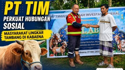 15 Sapi Qurban PT TIM Perkuat Hubungan Sosial Masyarakat Lingkar Tambang di Kabaena