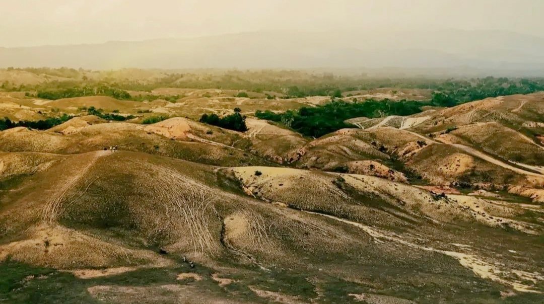 Padang Pajongang Bombana dengan panorama savana dan perbukitan bergelombang