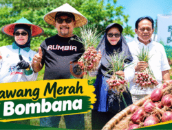 Pemkab Bombana Siapkan Pengembangan Bawang Merah Jadi Sentra Produksi Berkelanjutan