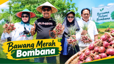 Pemkab Bombana Siapkan Pengembangan Bawang Merah Jadi Sentra Produksi Berkelanjutan
