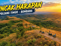 Puncak Harapan, Pesona Bukit Bergelombang yang Menawan di Poleang Timur Bombana